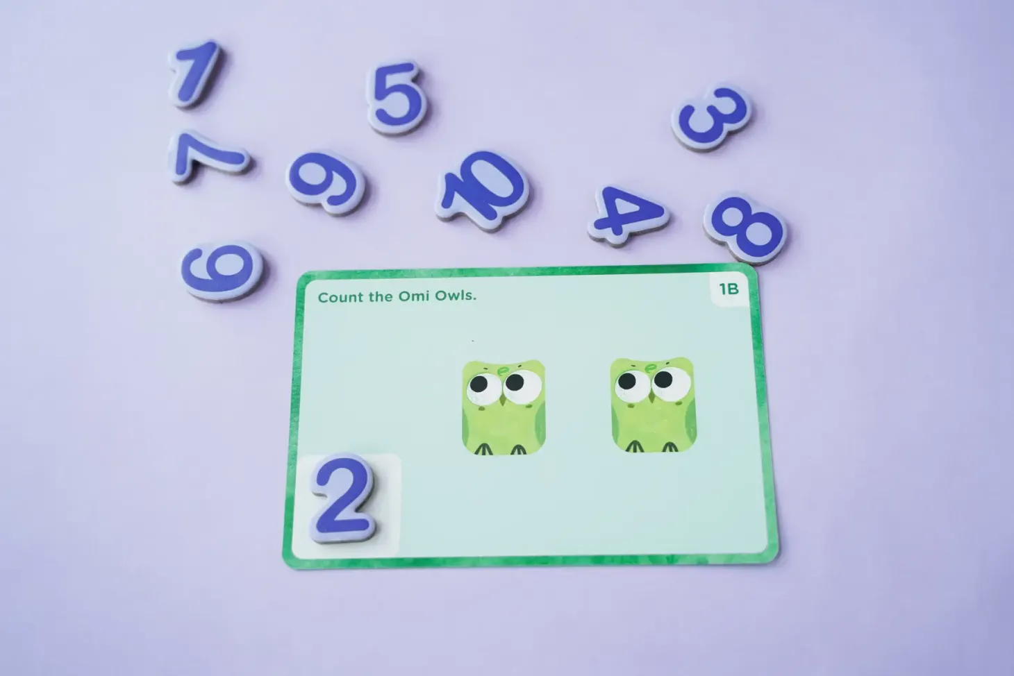 Gra edukacyjna Omi Owl