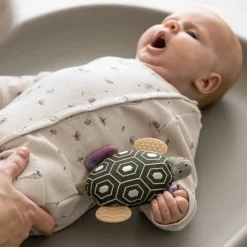 Grzechotka z lusterkiem - Turbo the turtle