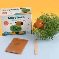 Kapibara z terakoty do zasiania nasion chia