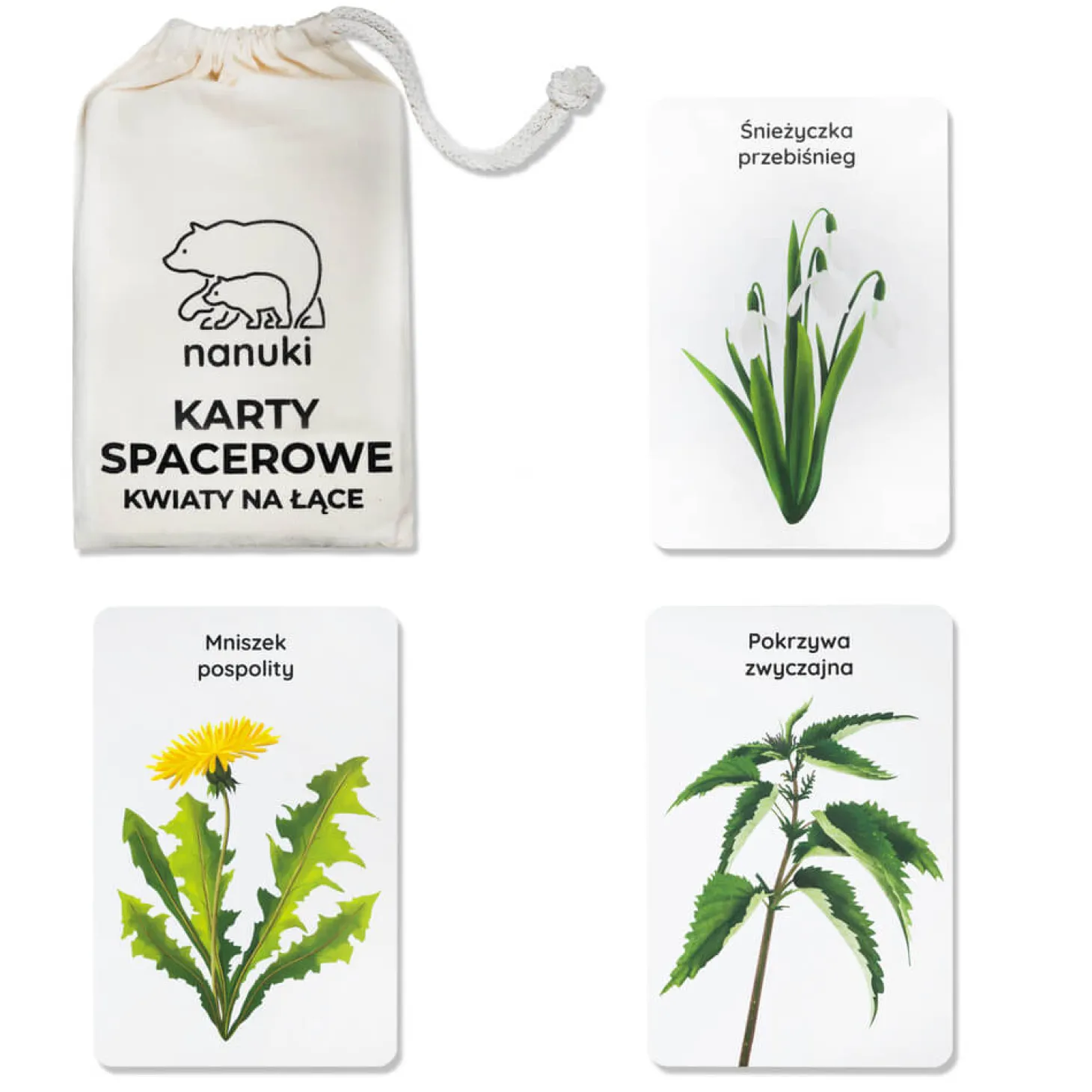 Karty Spacerowe - Kwiaty Na Łące