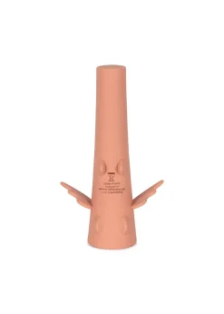 Latarka smok - Raspberry