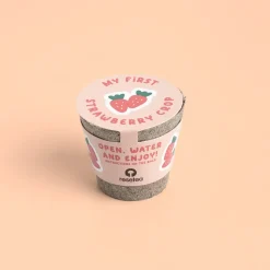 Mini doniczka - Truskawki