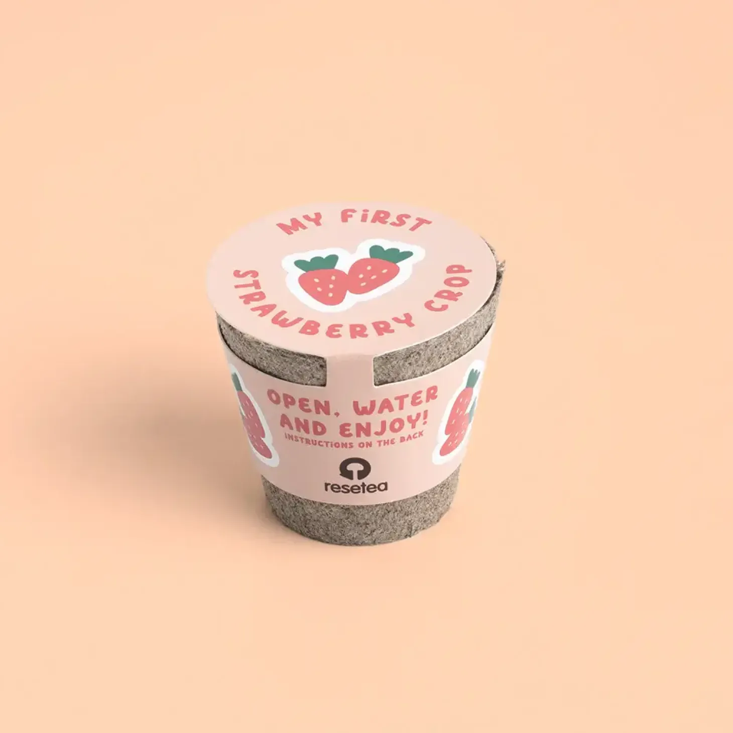 Mini doniczka - Truskawki