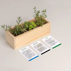 Mini ogród - Mediterranean