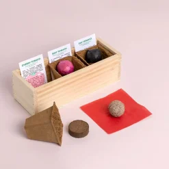 Mini ogród - Pomidory