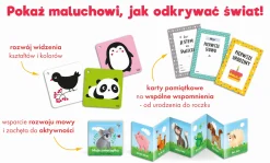 Mój pierwszy rok. Zestaw dla malucha 0-12 miesięcy