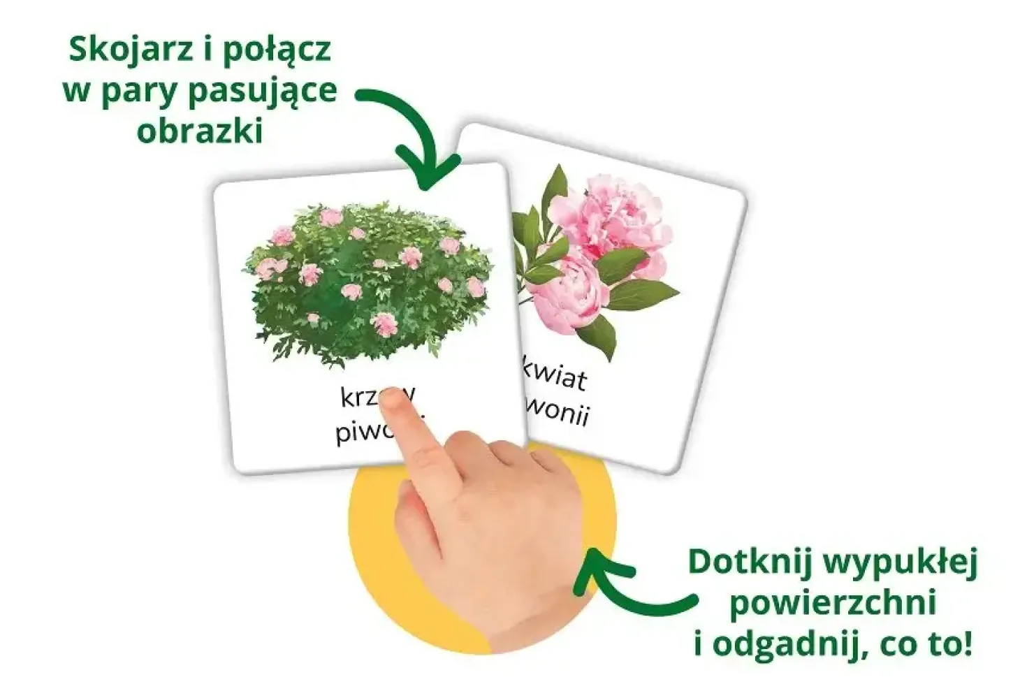 Montessori. Karty sensoryczne z książeczką. Przyroda tu i tam