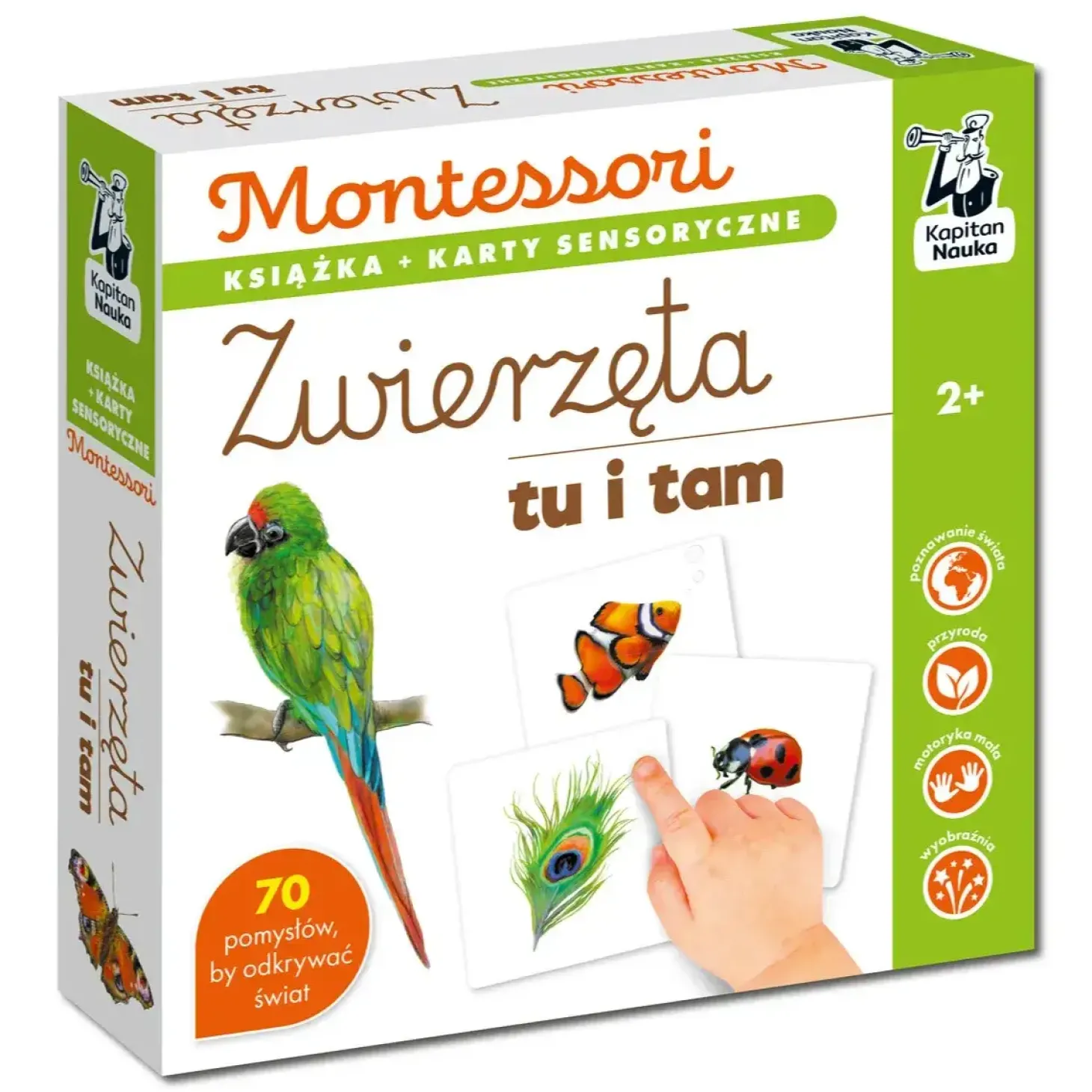 Montessori. Karty sensoryczne z książeczką. Zwierzęta tu i tam