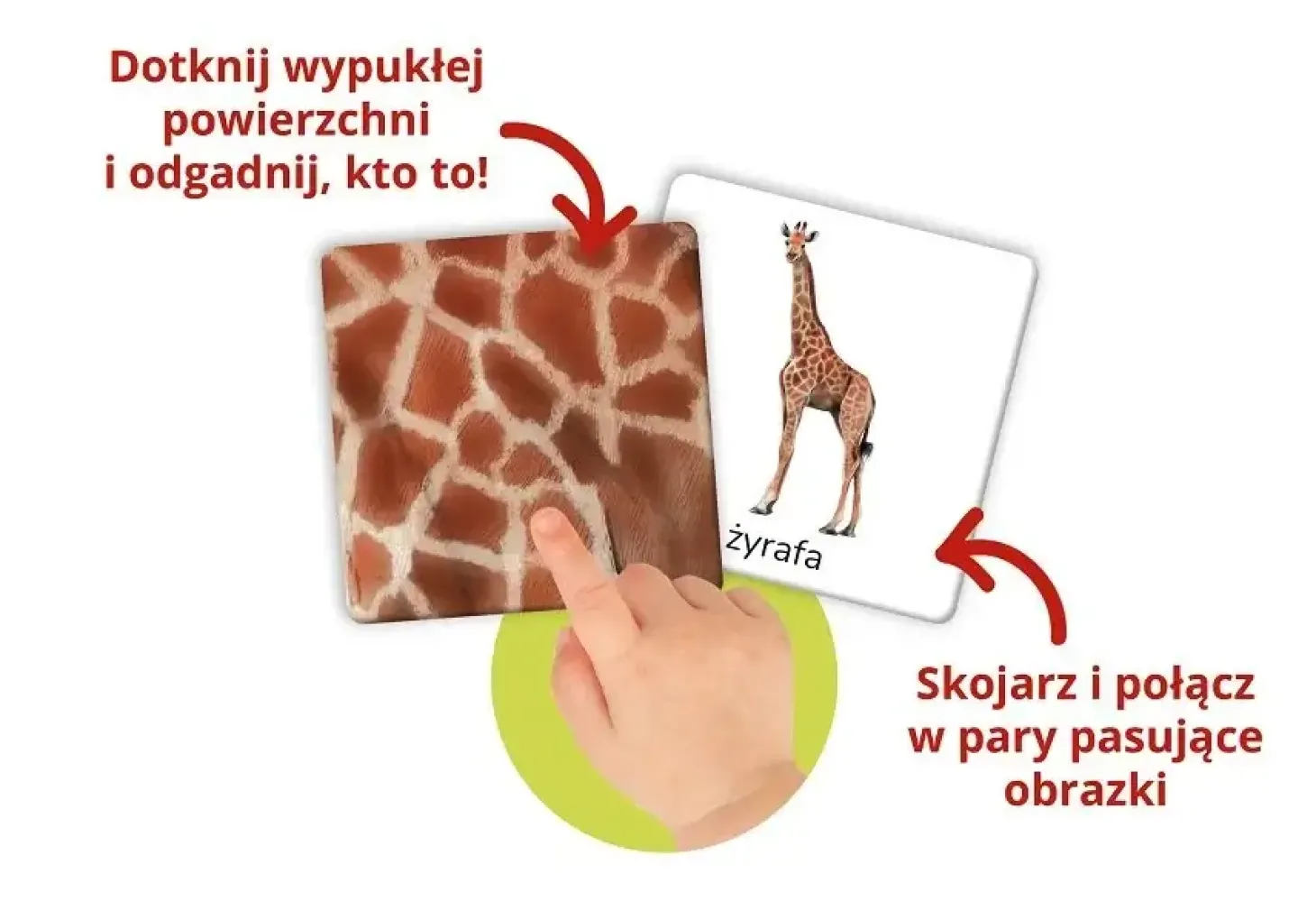 Montessori. Karty sensoryczne z książeczką. Zwierzęta tu i tam