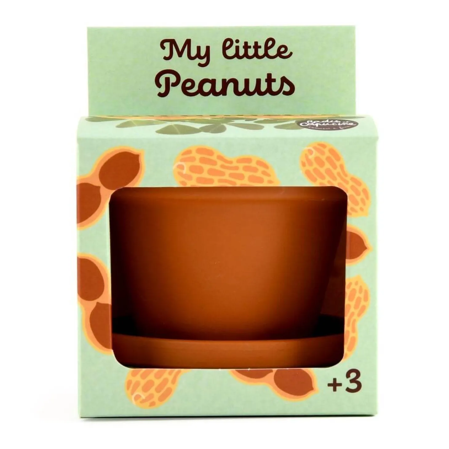 Orzeszki ziemne do samodzielnej uprawy My Little Peanuts