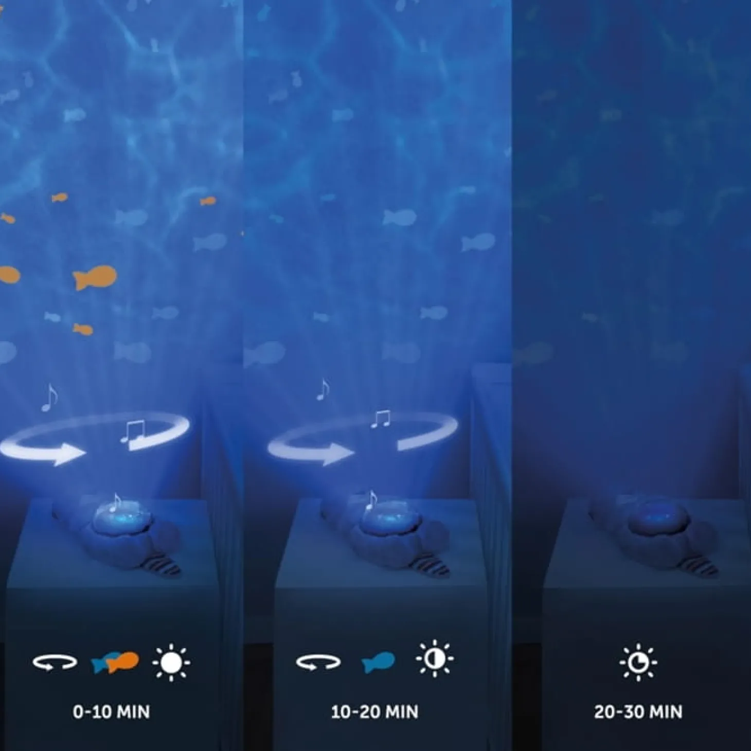 OTTO projektor Oceanu Wydra