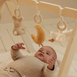 Pałąk interaktywny Newborn Naturals