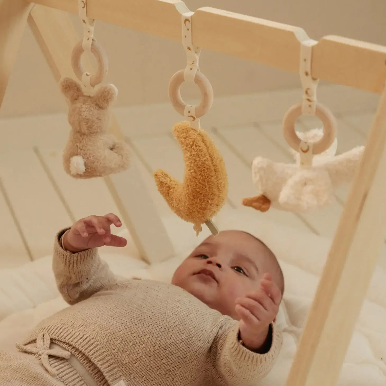 Pałąk interaktywny Newborn Naturals