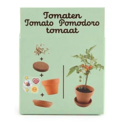 Pomidorki do samodzielnej uprawy My Little Tomatoes