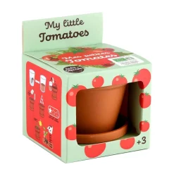 Pomidorki do samodzielnej uprawy My Little Tomatoes