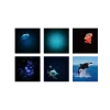 Projektor KIDYSTAR - Ocean