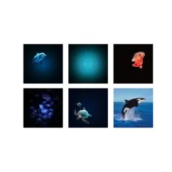 Projektor KIDYSTAR - Ocean