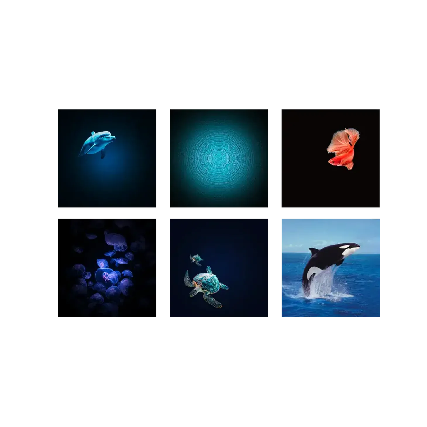 Projektor KIDYSTAR - Ocean