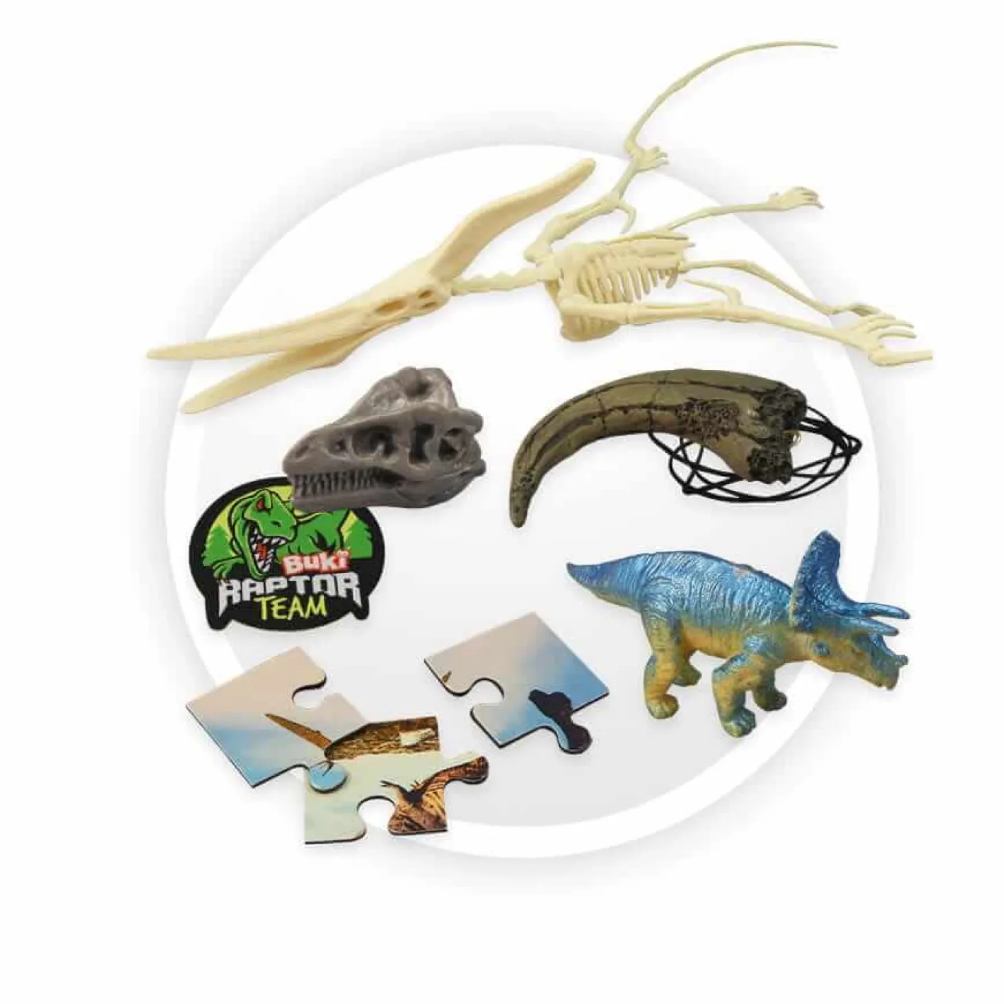 Pudełko 25 niespodzianek z dinozaurami