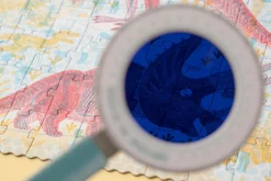 Puzzle z grą obserwacyjną Odkryj Dinozaury