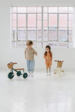 Rowerek trójkołowy Trike Cream