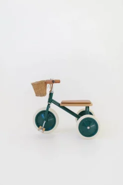 Rowerek trójkołowy Trike Dark Green