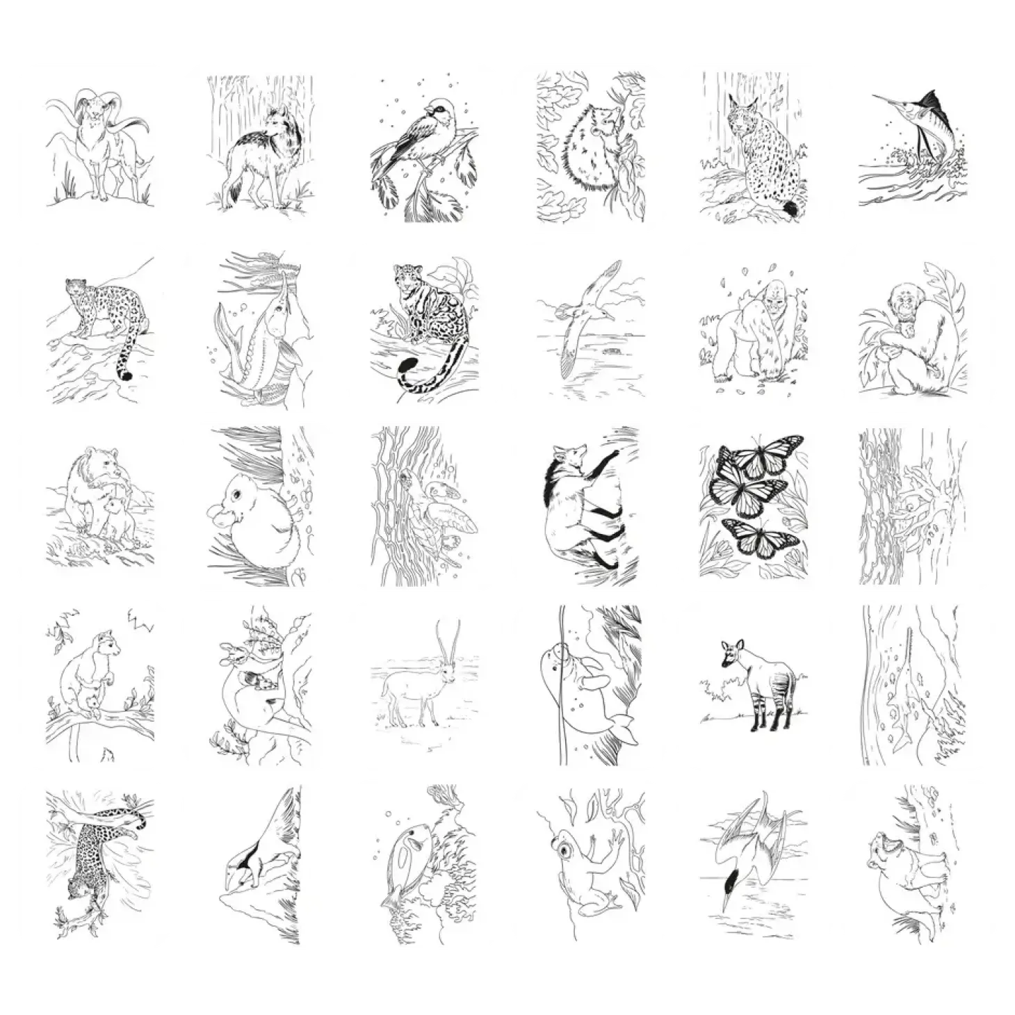 Tablet graficzny z szablonami do rysowania KIDYDRAW-PAD - Animals, 8+