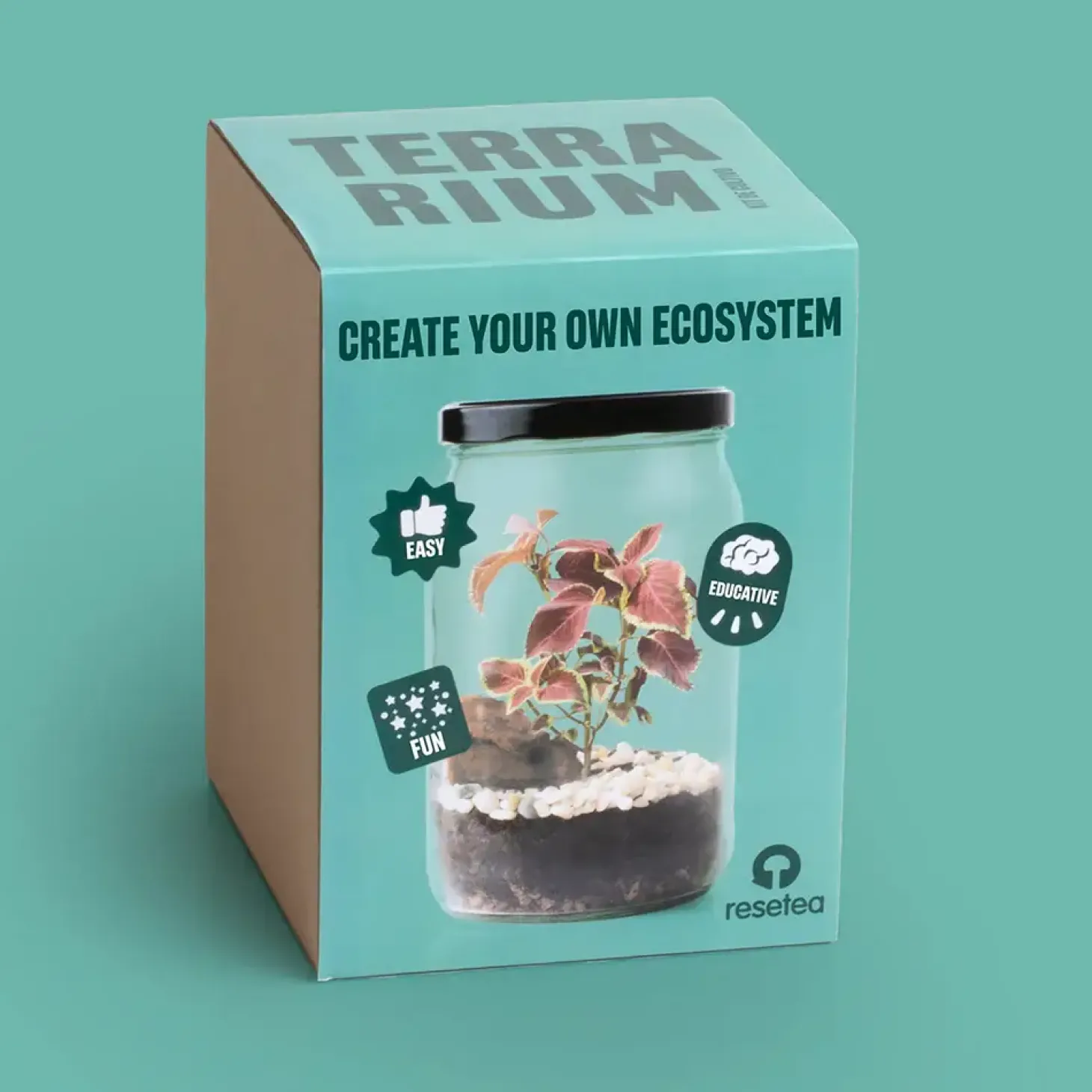 Terrarium w słoiku