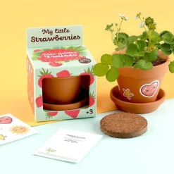 Truskawki do samodzielnej uprawy My Little Strawberries