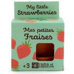 Truskawki do samodzielnej uprawy My Little Strawberries