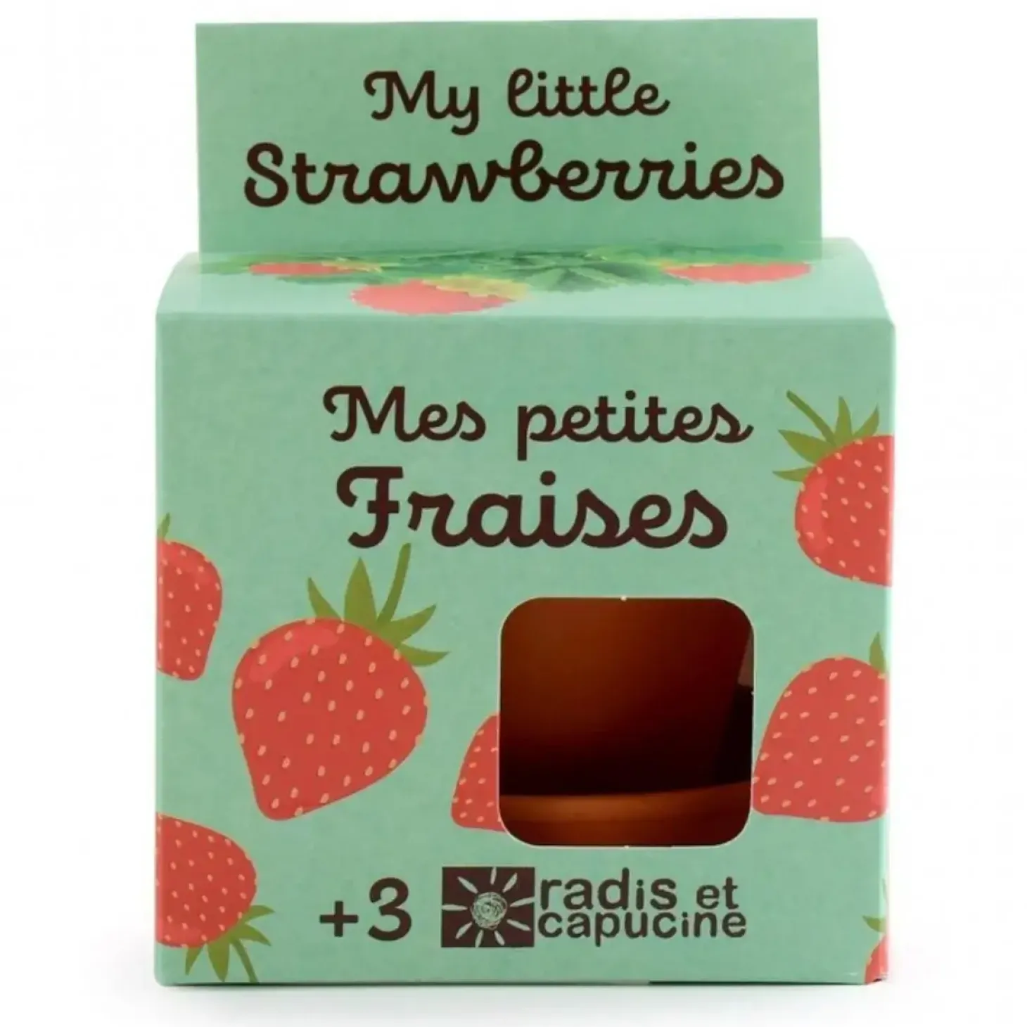 Truskawki do samodzielnej uprawy My Little Strawberries