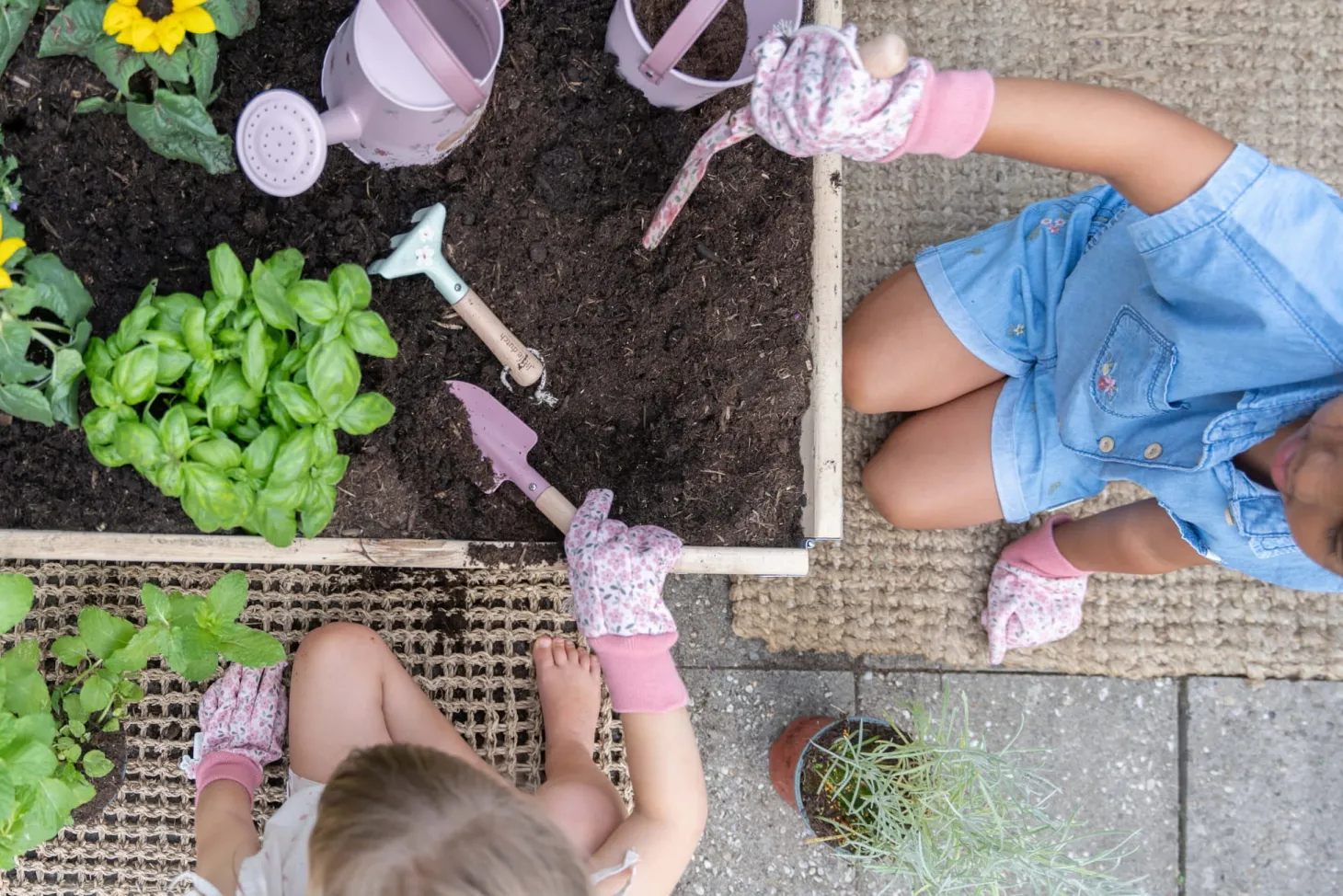 Wiaderko Fairy Garden