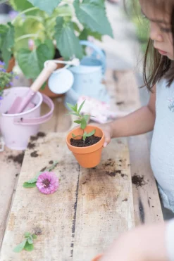 Wiaderko Fairy Garden