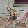 Wózek dla lalek - rosie rose