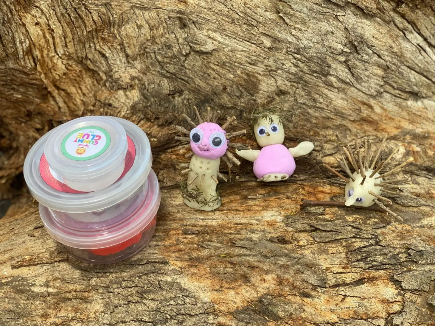 Zestaw artystyczny - Natura