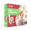 Zestaw Ciało człowieka 5+