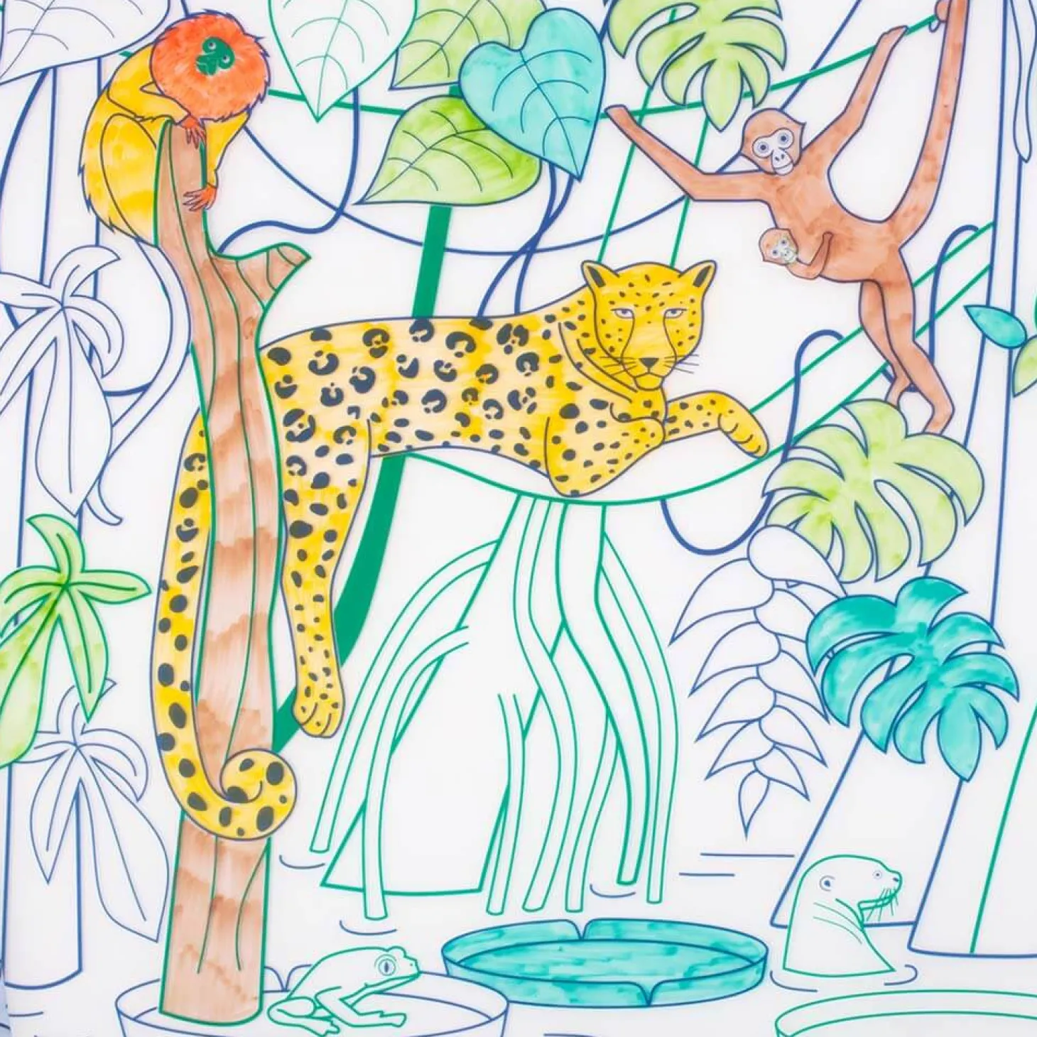 Zestaw do kolorowania z silikonową matą - Amazonia