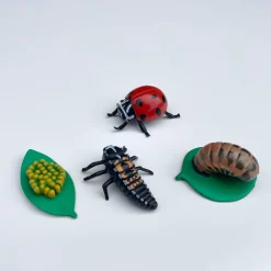 Zestaw figurek Cykl Życia Biedronki