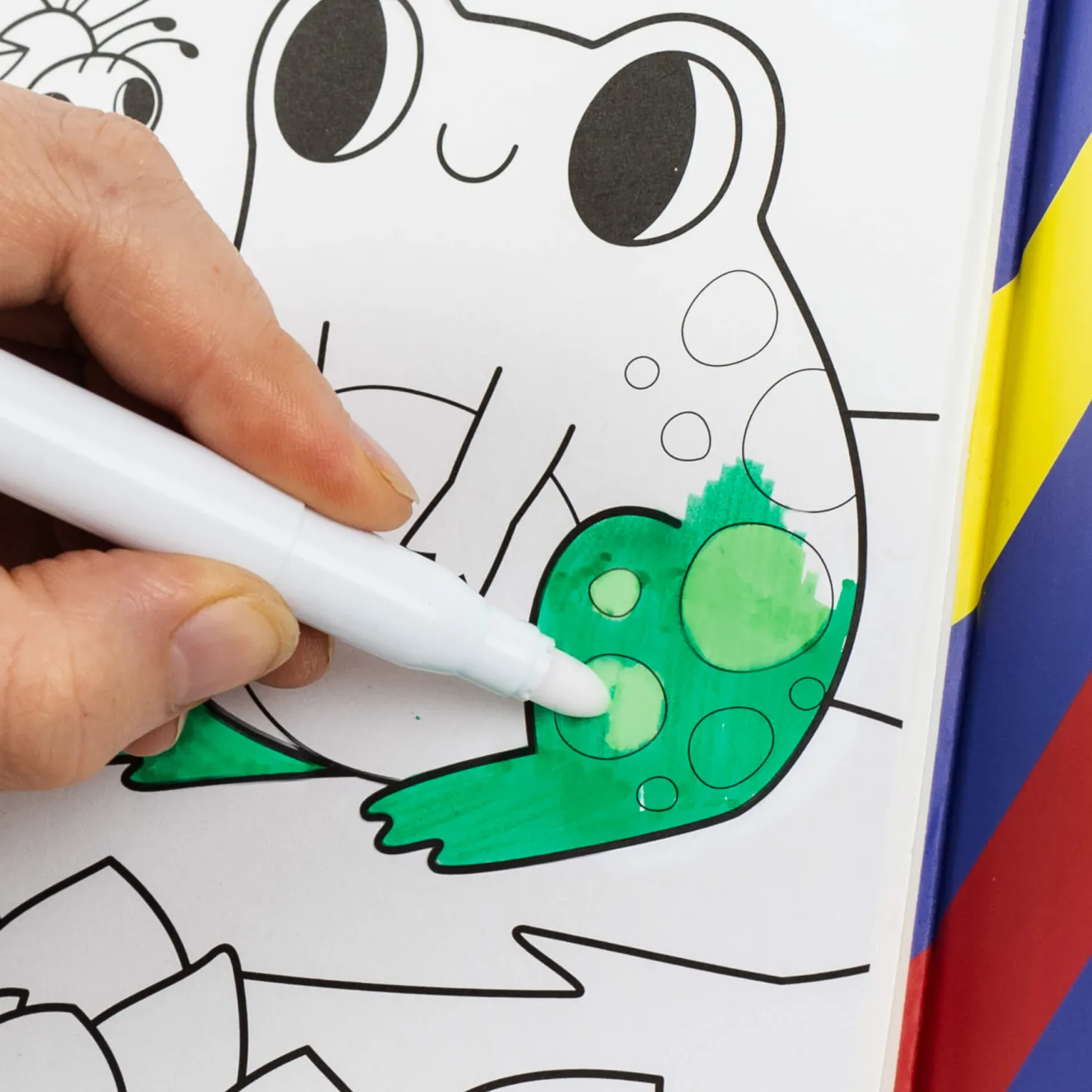 Zestaw kolorowanek zmieniających kolor – Przyjaciele z Ogrodu