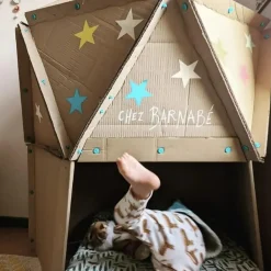 Zestaw narzędzi do konstruowania DIY - Create 260 el.