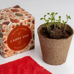 Zestaw prezentowy do sadzenia kwiatów Say it with Flowers - I love you