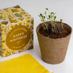 Zestaw prezentowy do sadzenia kwiatów Say it with Flowers - Happy Birthday