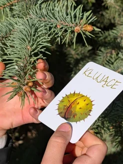 Znajdź to! Gra terenowa