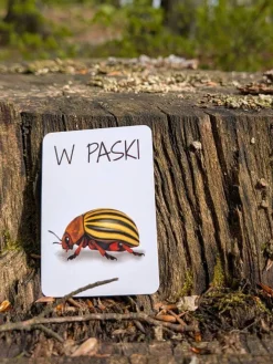 Znajdź to! Gra terenowa